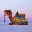 4 Nights / 5 Days Rann Utsav Package